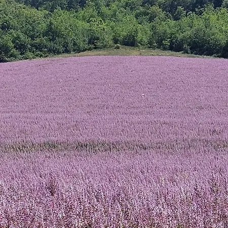 Un Souffle D'air Valensole