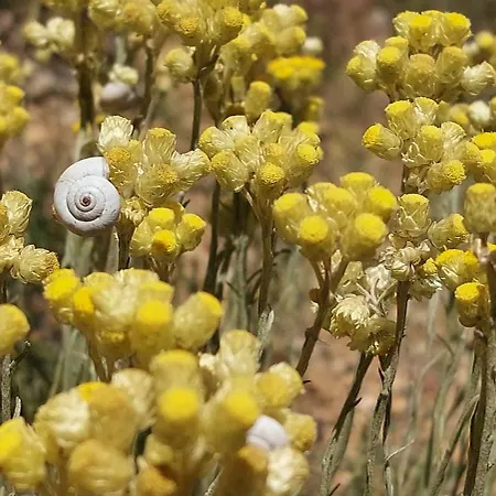 Un Souffle D'air * Valensole